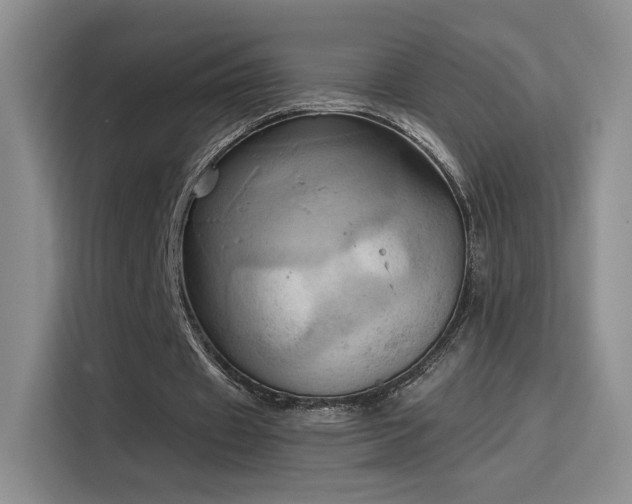 X0000115790433200911201335