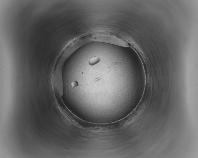 X0000115790434200911201335