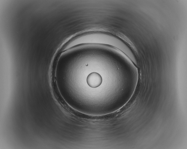 X0000115790436200911201335