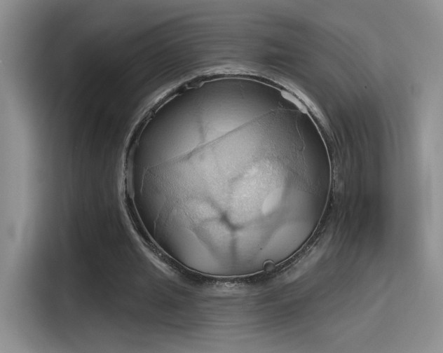 X0000115790437200911201335