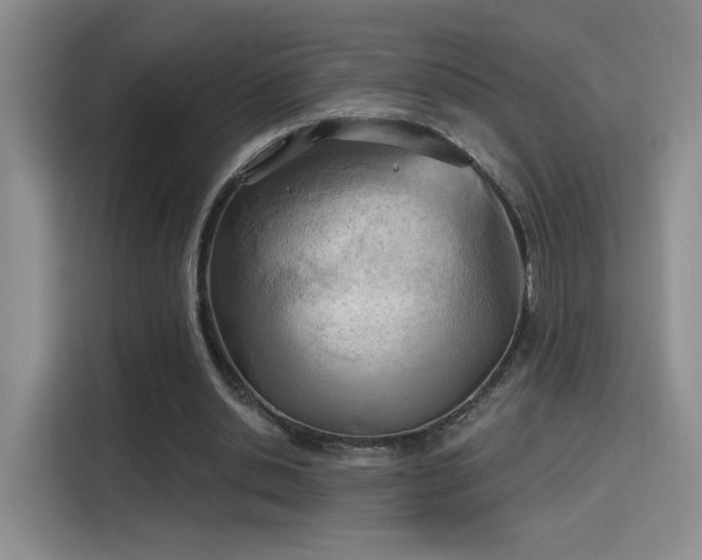 X0000115790438200911201335