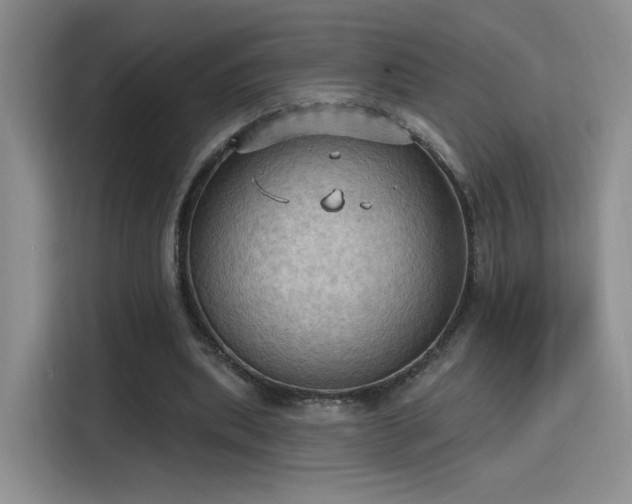 X0000115790439200911201335