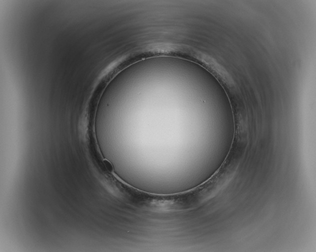 X0000115790440200911201335