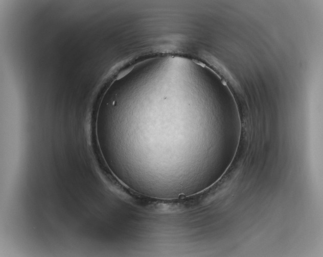 X0000115790442200911201335