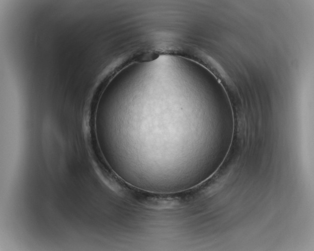 X0000115790443200911201335