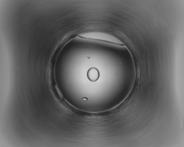 X0000115790444200911201335