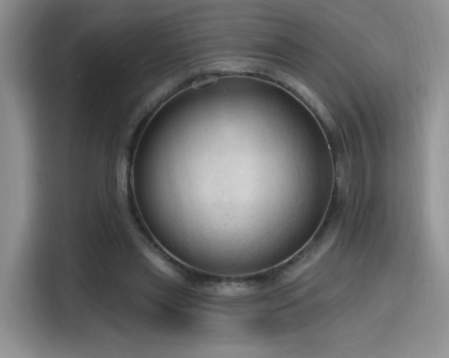 X0000115790445200911201335