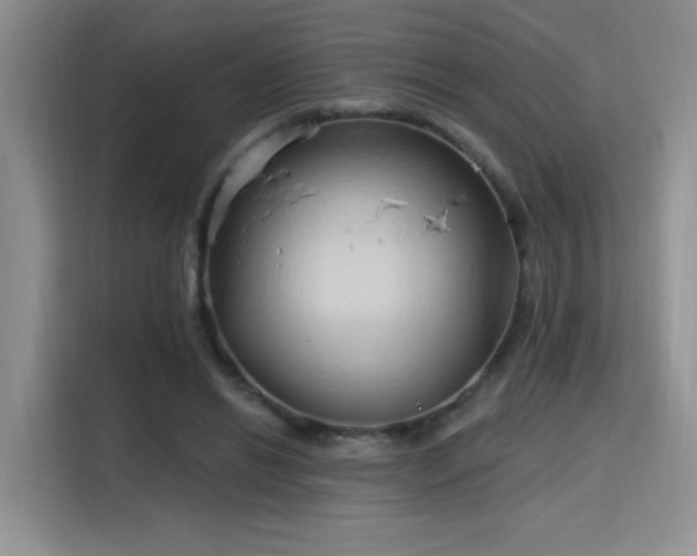 X0000115790446200911201335