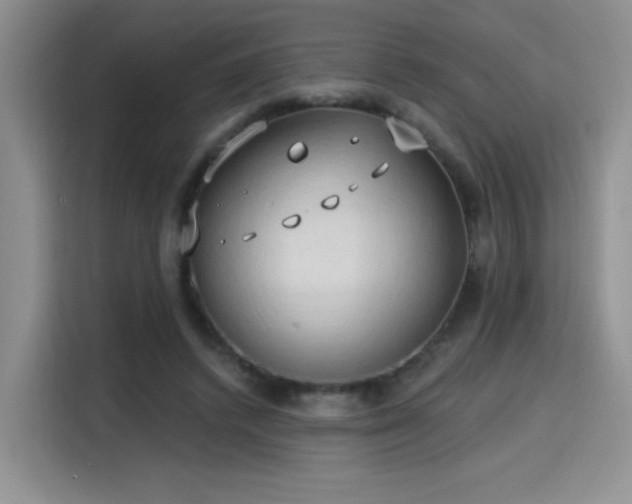 X0000115790448200911201335