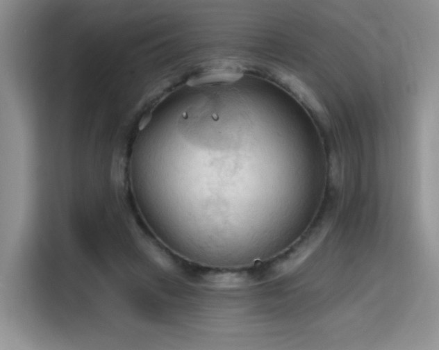 X0000115790449200911201335