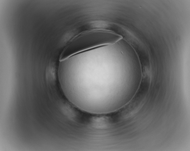 X0000115790452200911201335