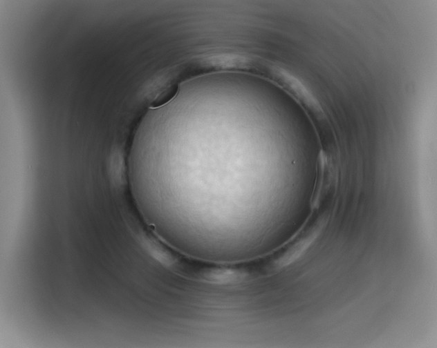 X0000115790453200911201335