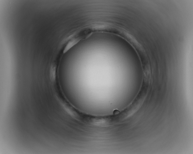 X0000115790454200911201335