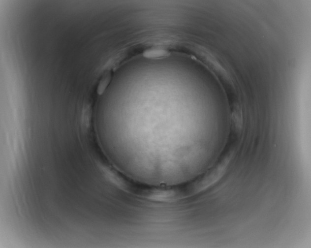 X0000115790458200911201335