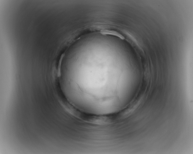 X0000115790459200911201335