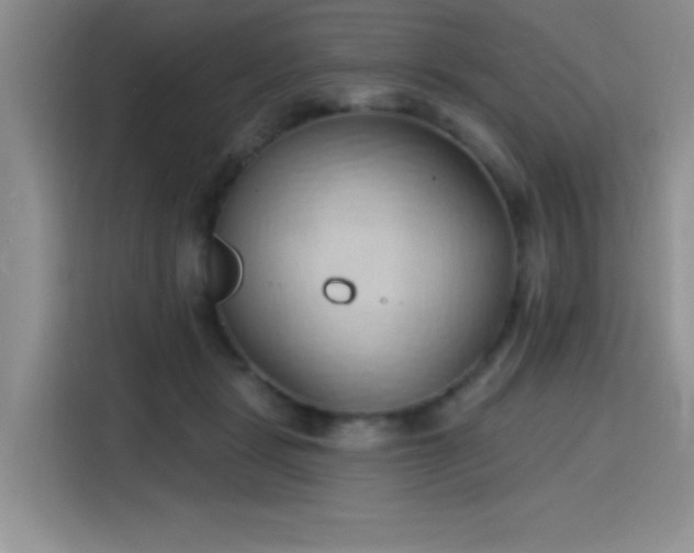 X0000115790461200911201335