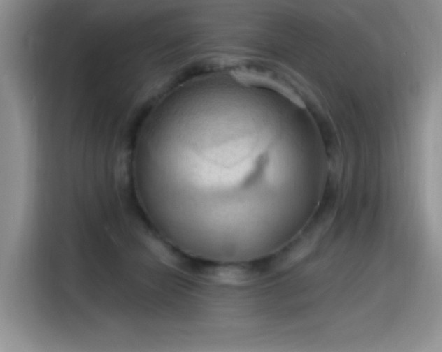 X0000115790462200911201335