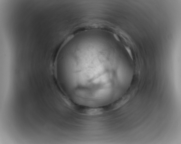 X0000115790465200911201335