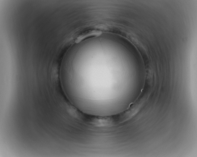 X0000115790466200911201335