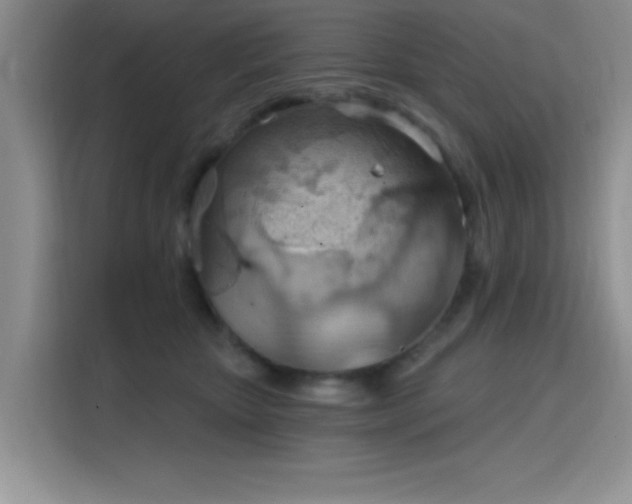 X0000115790467200911201335