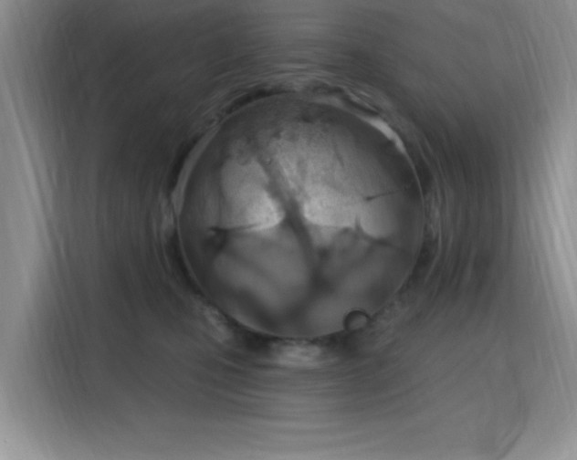 X0000115790471200911201335