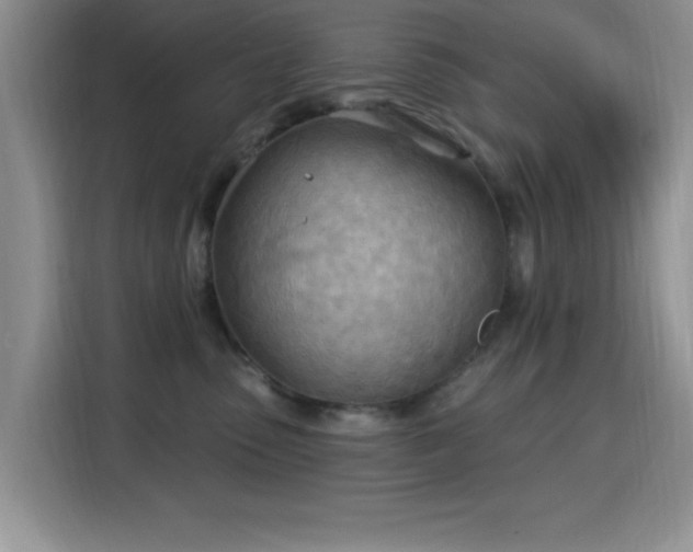 X0000115790475200911201335