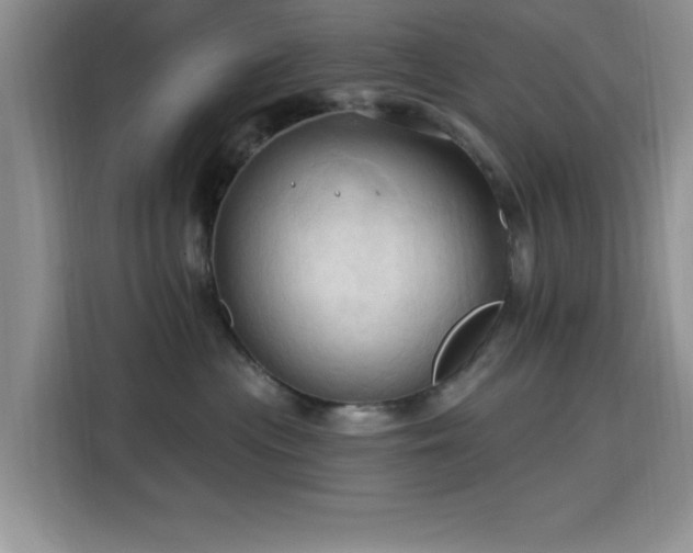 X0000115790477200911201335