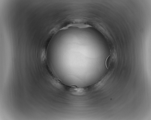 X0000115790478200911201336