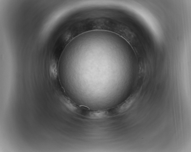 X0000115790479200911201336