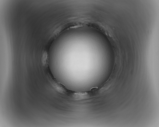 X0000115790480200911201336