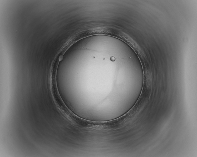 X0000115790482200911201335