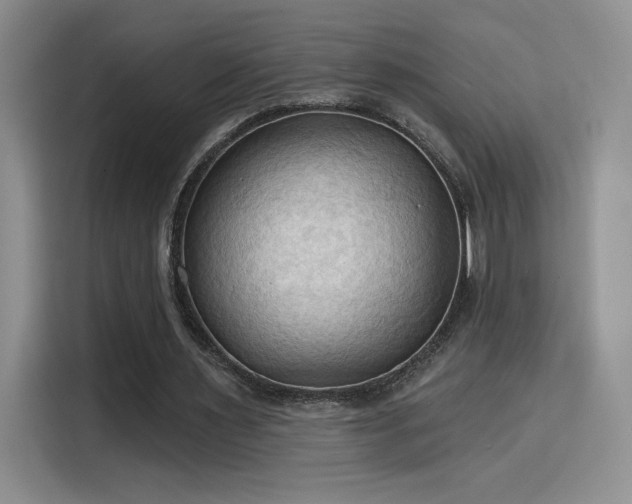 X0000115790483200911201335