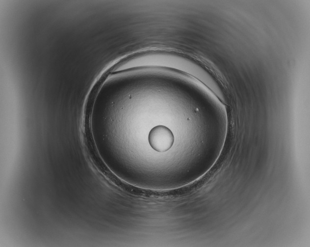 X0000115790484200911201335