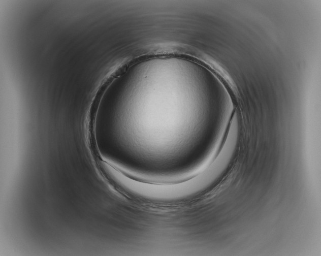 X0000115790485200911201335