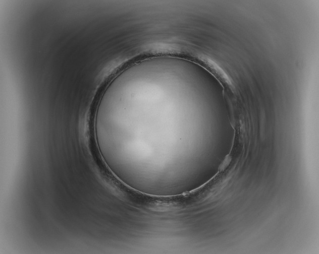 X0000115790487200911201335