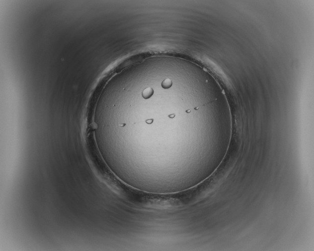 X0000115790488200911201335