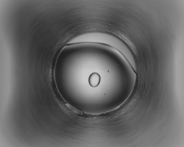 X0000115790489200911201335