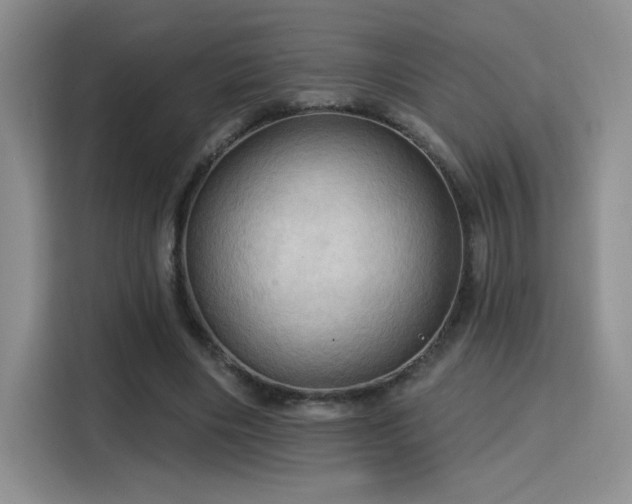 X0000115790490200911201335