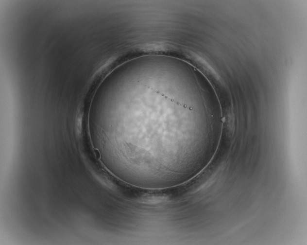 X0000115790491200911201335