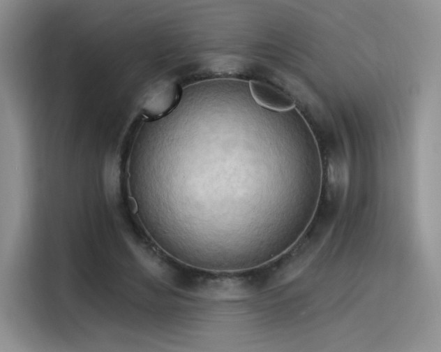 X0000115790492200911201335