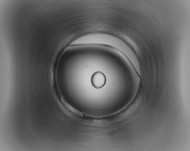 X0000115790493200911201335