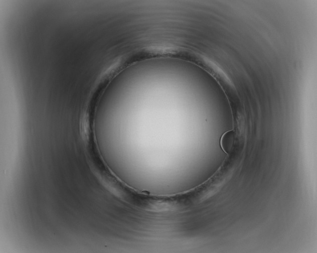 X0000115790494200911201335