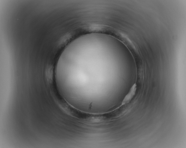 X0000115790495200911201335