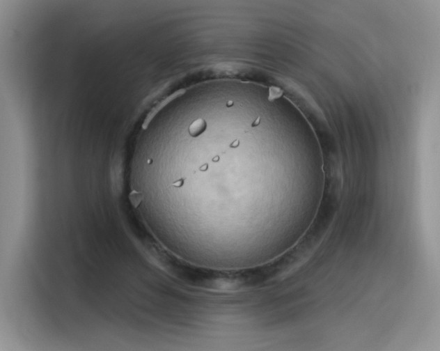 X0000115790496200911201335