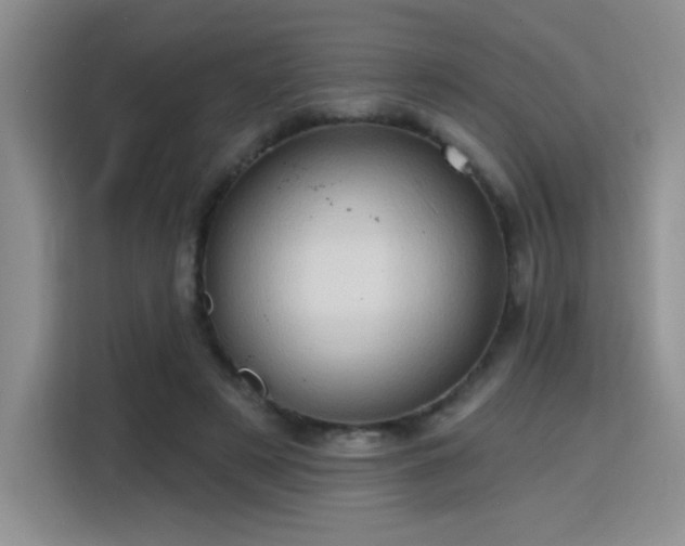 X0000115790497200911201335