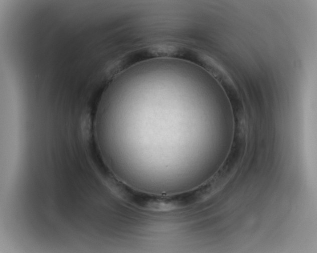 X0000115790498200911201335