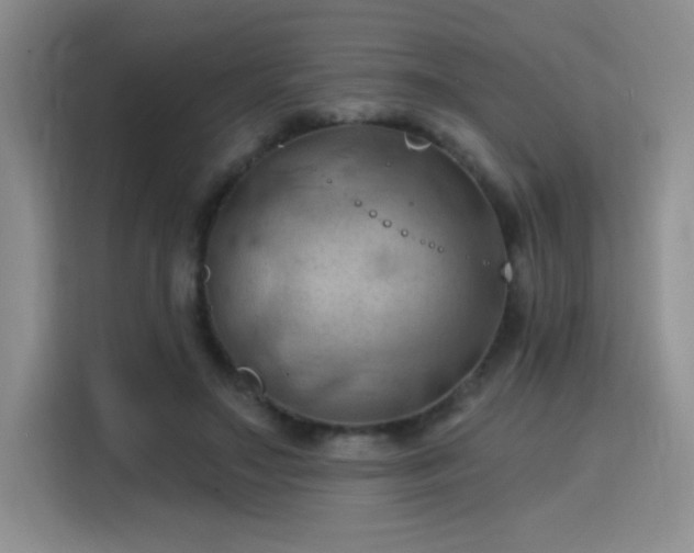 X0000115790499200911201335