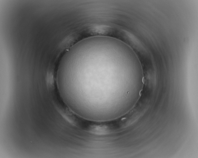 X0000115790500200911201335