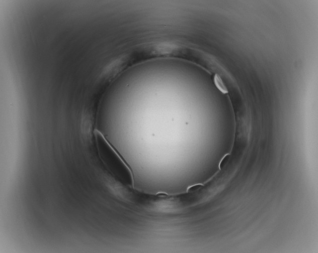 X0000115790505200911201335