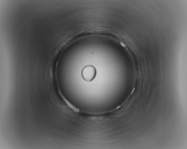 X0000115790508200911201335